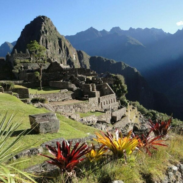 Machu Picchu Full Day