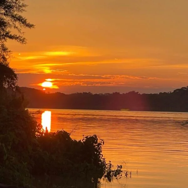 WhatsApp-Image-2025-08-28-at-2.48.42-PM-1-600x600