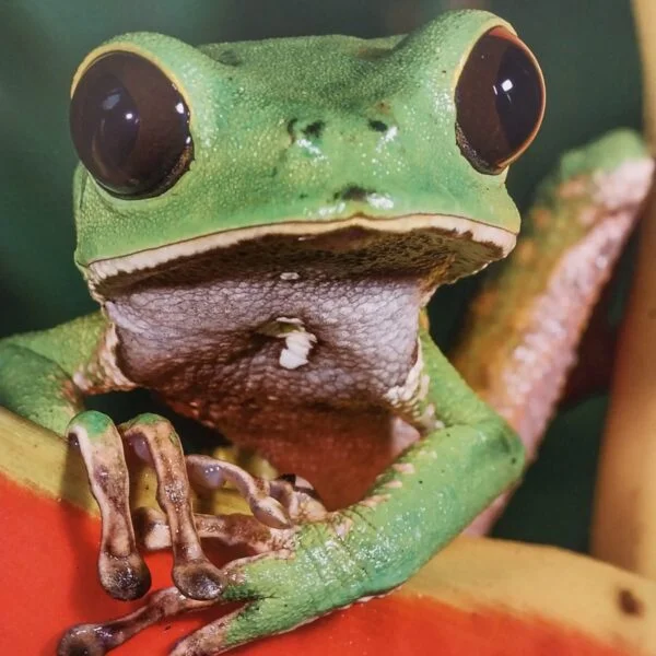 WhatsApp-Image-2025-08-28-at-3.46.00-PM-600x600