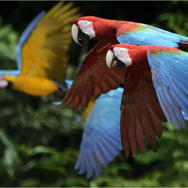 WhatsApp-Image-2025-10-17-at-11.27.16-AM-1-600x600