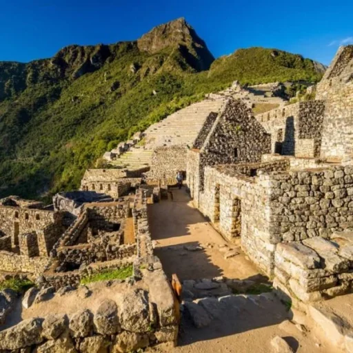 WhatsApp-Image-2018-10-22-at-12.39.50-1-600x600 (1)