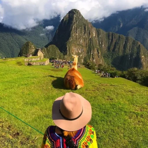 WhatsApp-Image-2018-11-19-at-22.03.23-600x600