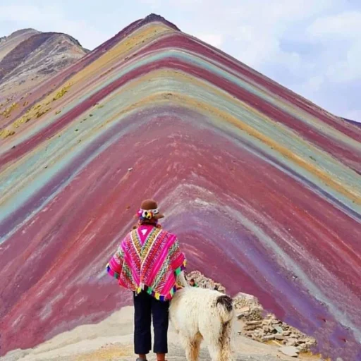 WhatsApp-Image-2019-02-16-at-16.15.40-1-600x600