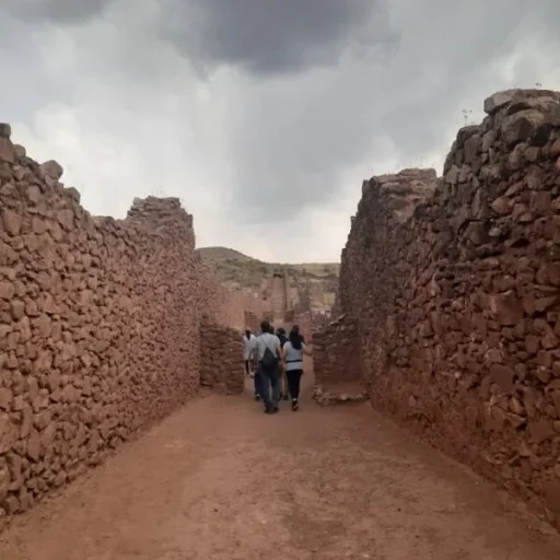 WhatsApp-Image-2025-01-09-at-9.24.03-PM-2-600x600