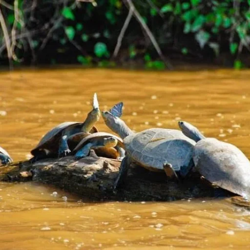 WhatsApp-Image-2025-08-28-at-3.45.59-PM-600x479