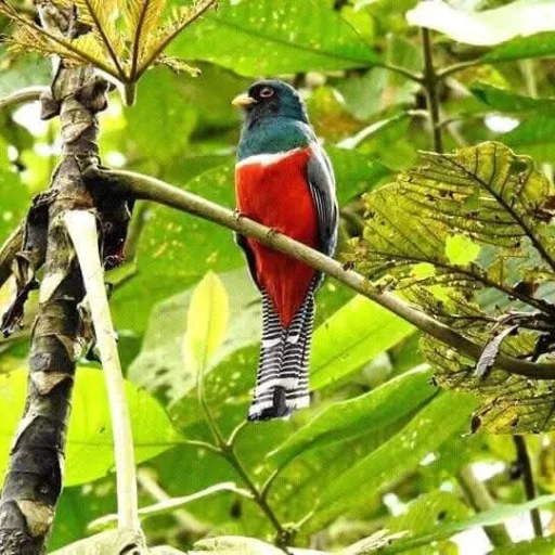 WhatsApp-Image-2025-08-28-at-3.46.01-PM-600x540