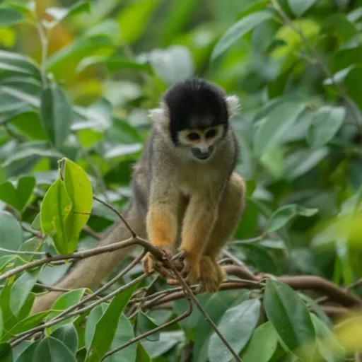 WhatsApp-Image-2025-09-06-at-1.46.10-PM-1-600x600