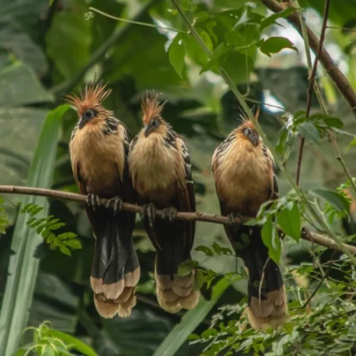 WhatsApp-Image-2025-09-06-at-1.46.10-PM-2-600x600