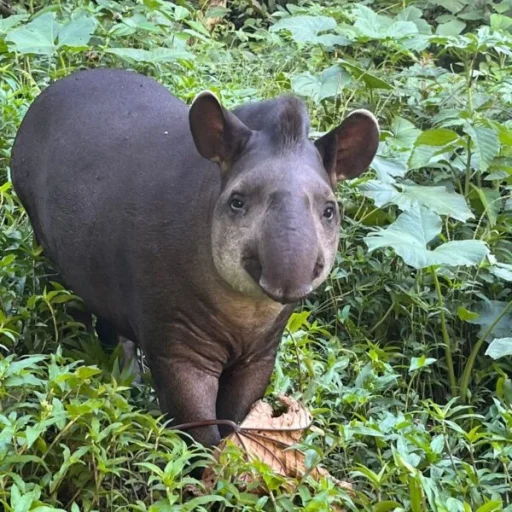 WhatsApp-Image-2025-09-06-at-1.46.11-PM-2-600x600