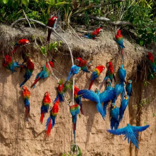 WhatsApp-Image-2025-10-17-at-11.27.16-AM-600x600