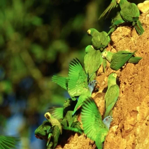 WhatsApp-Image-2025-10-17-at-11.27.17-AM-1-600x600