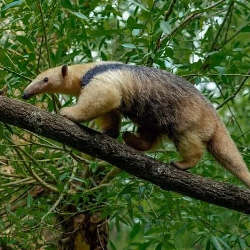 WhatsApp-Image-2025-10-17-at-11.27.17-AM-600x512