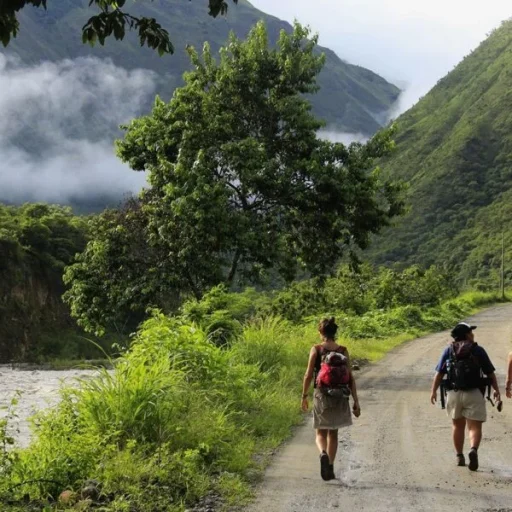 inka-jungle-4-dias-600x600